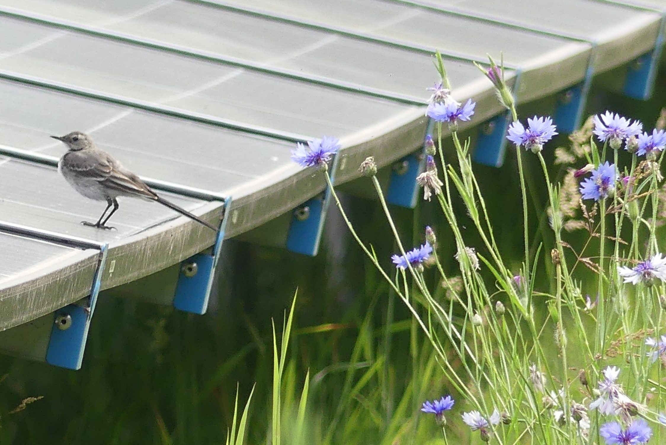 Energietuin in Assen