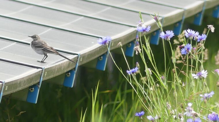 Energietuin in Assen